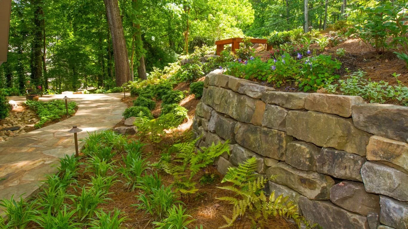 Before project image